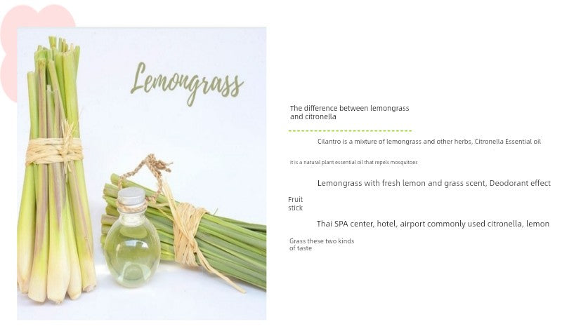 Lemon Grass Thailand Fire-Free Rattan Aromatherapy
